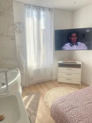 Télévision ou salle de divertissement dans l'établissement Appartement Jacuzzi proche Cité Gastronomique