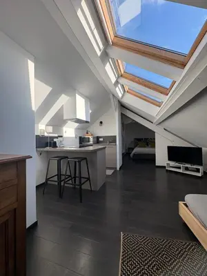 Cuisine ou kitchenette dans l'établissement Petit Loft proche Place Darcy