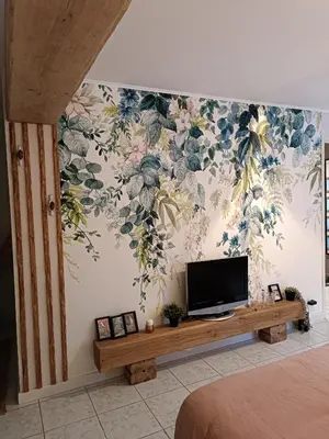 Télévision ou salle de divertissement dans l'établissement La parenthèse Brognonnaise