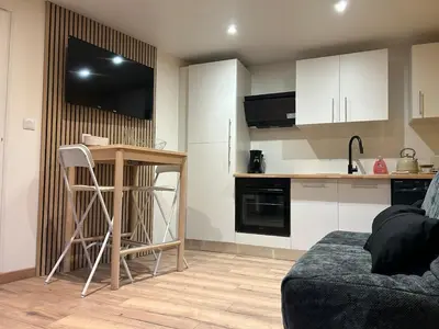 Cuisine ou kitchenette dans l'établissement Le Relais - Appartement climatisé au coeur de Dijon
