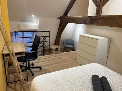 Un ou plusieurs lits dans un hébergement de l'établissement Le Relais - Appartement climatisé au coeur de Dijon