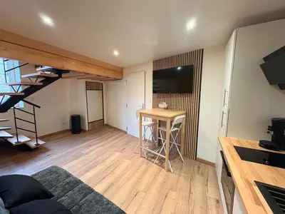 Télévision ou salle de divertissement dans l'établissement Le Relais - Appartement climatisé au coeur de Dijon