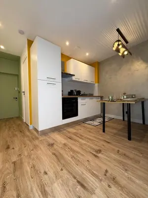 Cuisine ou kitchenette dans l'établissement Pause détente au centre de Mâcon