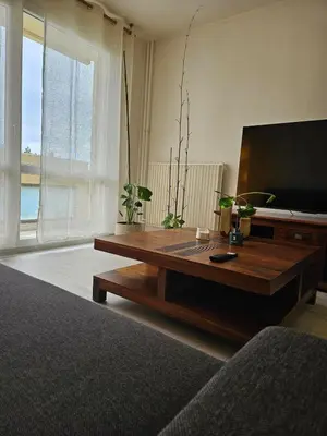 Télévision ou salle de divertissement dans l'établissement Appartement T2