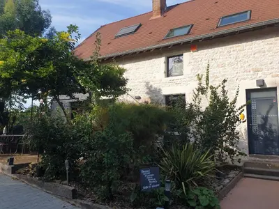Jardin de l'établissement Le jardin de Séverine