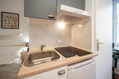 Cuisine ou kitchenette dans l'établissement Boucicaut Green Studio