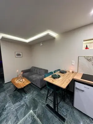 Cuisine ou kitchenette dans l'établissement Cocoon Hyper Center