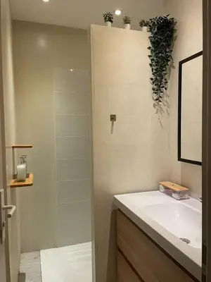 Salle de bains dans l'établissement Appartement bucolique - Cœur historique Dijon