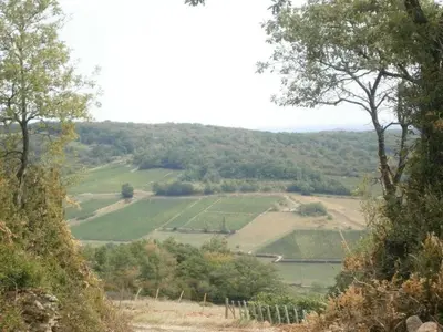 Paysage naturel près de la maison de vacances