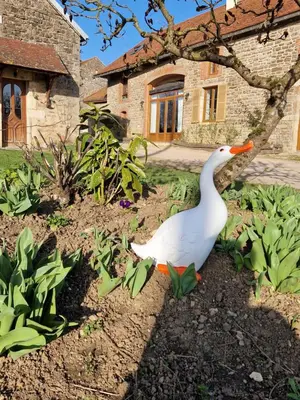 Jardin de l'établissement La Longère des Oies