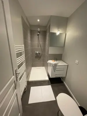 Salle de bains dans l'établissement Apartment with terrace and barbecue Hyper center