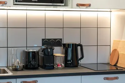 Cuisine ou kitchenette dans l'établissement Résidence Mariotte - Le vert Kaki - Appartement Indépendant