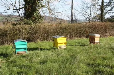 Plan de l'établissement La Grange de La Ferdière