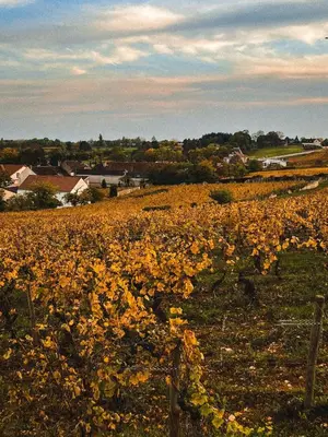 Paysage naturel près de l'appartement