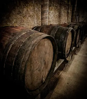 Plan de l'établissement Maison de Vigneron entre Vougeot et Chambertin