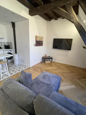 Télévision ou salle de divertissement dans l'établissement La Terrasse Bourguignonne - Vieux Dijon