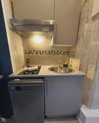 Cuisine ou kitchenette dans l'établissement Le Royal Dijonnais - Centre Ville