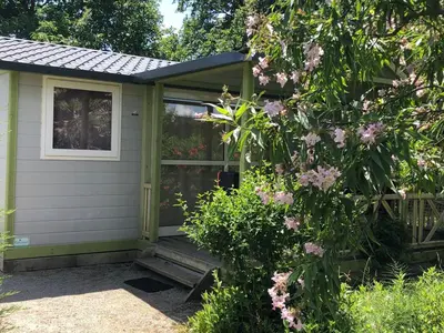 Jardin de l'établissement Chalet confortable avec terrasse pour 6 personnes - API-1-52-989