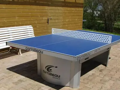 Tennis de table au sein de l'établissement Chalet confortable avec terrasse pour 6 personnes - API-1-52-989 ou à proximité
