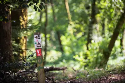 Jardin de l'établissement Chambres Cabine - Activital - Base Sport et Nature des Settons