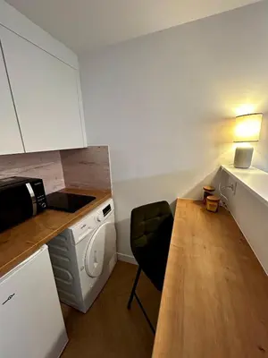 Cuisine ou kitchenette dans l'établissement Studio centre village
