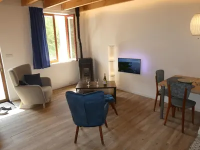 Télévision ou salle de divertissement dans l'établissement Les Girolles