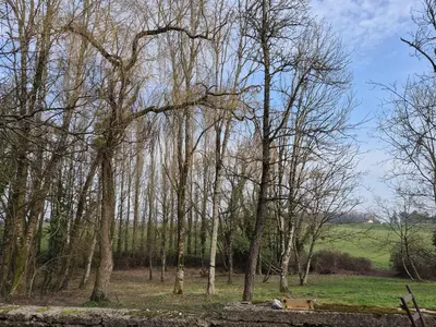 Paysage naturel près de la maison de vacances