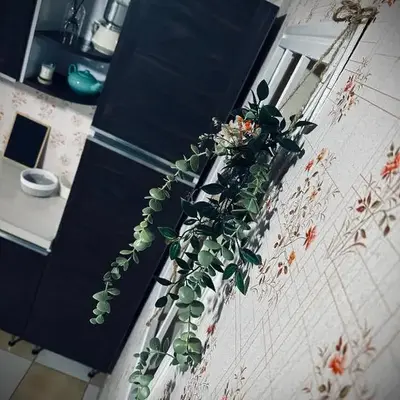 La maison de Lydie