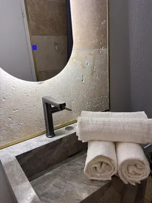 Salle de bains dans l'établissement Le Balcon Dijonnais - Cours Cambronne