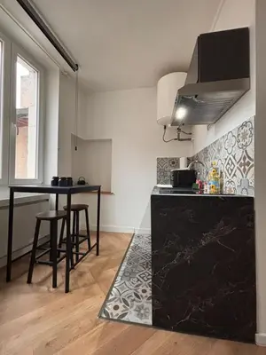 Cuisine ou kitchenette dans l'établissement Le Cocon Dijonnais - Cours Cambronne