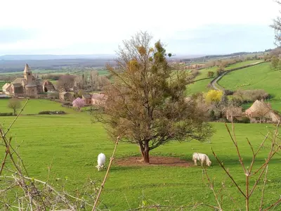 Plan de l'établissement Holiday Home an der Weinstraße von Burgund by Interhome
