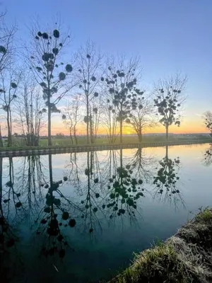 Paysage naturel près de le bateau