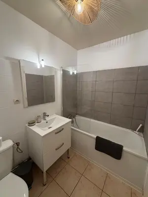 Salle de bains dans l'établissement Dijon center cozy apartment - private parking