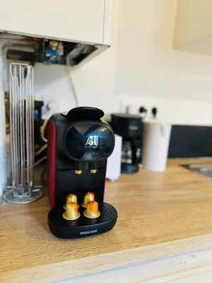 Cuisine ou kitchenette dans l'établissement Charmant appartement centre Dijon