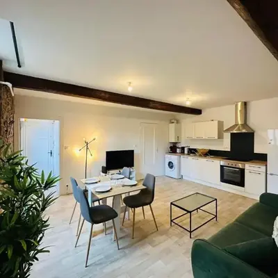 Charmant appartement centre Dijon