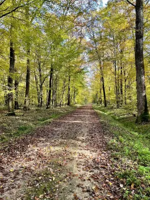 Paysage naturel près de la maison de vacances