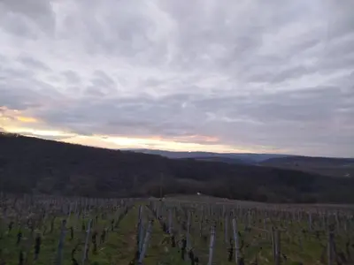 Paysage naturel près de la maison de vacances