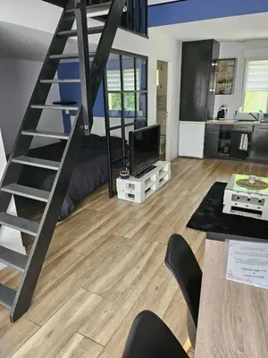 Cuisine ou kitchenette dans l'établissement Arboréa, charmant loft