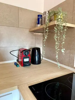 Cuisine ou kitchenette dans l'établissement Gîte 2 suites proche du lac de Chalain