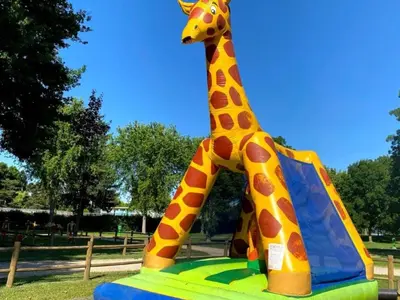 Aire de jeux pour enfants de l'établissement Charmant Mobil-home 2 pers avec terrasse - API-1-52-1367