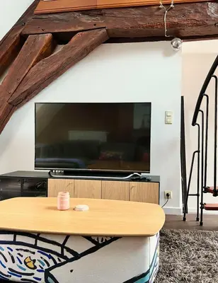 Télévision ou salle de divertissement dans l'établissement Loft atypique, charme & confort