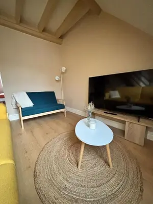 Télévision ou salle de divertissement dans l'établissement La Reception des Ducs - Dijon Centre Historique