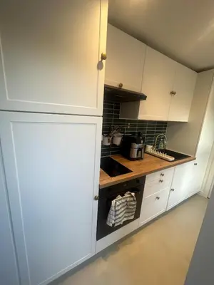 Cuisine ou kitchenette dans l'établissement Beautiful apartment with balcony, Dijon center