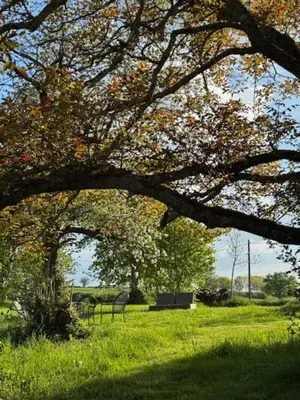 Jardin de l'établissement domaine de Marbot