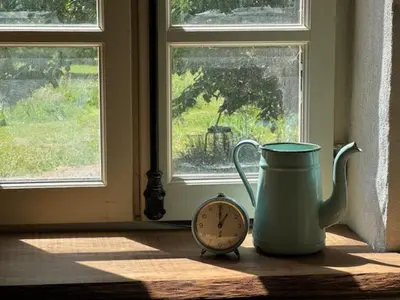 Plan de l'établissement domaine de Marbot