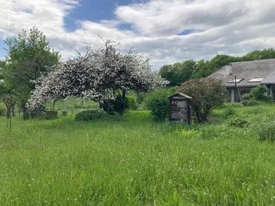 Jardin de l'établissement Les Hirondelles