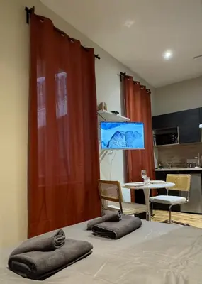 Cuisine ou kitchenette dans l'établissement Le Laguiche Chic Modern Studio