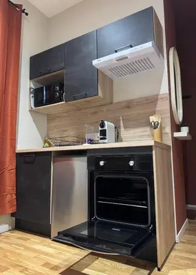 Cuisine ou kitchenette dans l'établissement Le Laguiche Chic Modern Studio
