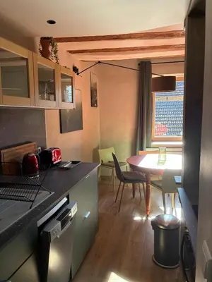 Cuisine ou kitchenette dans l'établissement Loft Cocooning et Lumineux