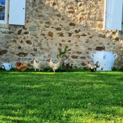 Jardin de l'établissement The charm of Morvan